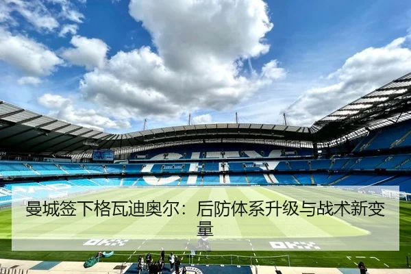 曼城签下格瓦迪奥尔：后防体系升级与战术新变量